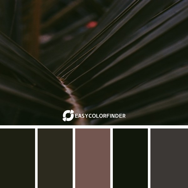 Color Palette 1