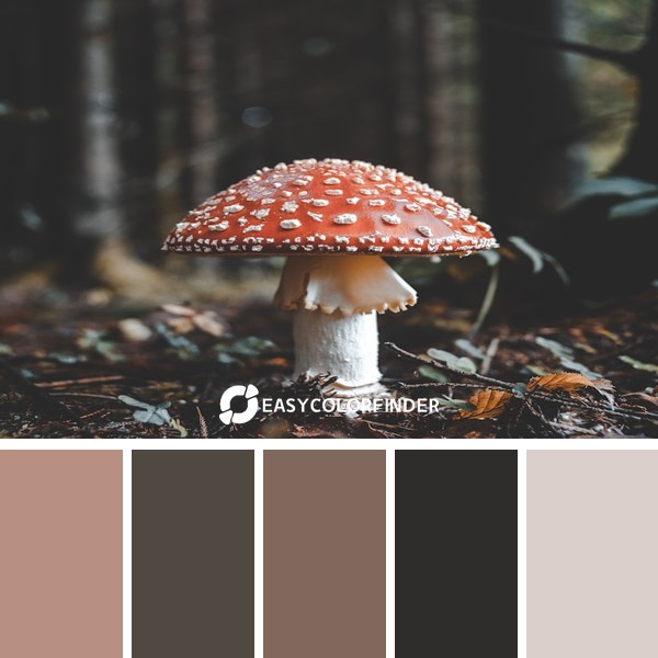 Color Palette 5