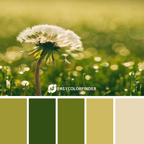 Color Palette 7