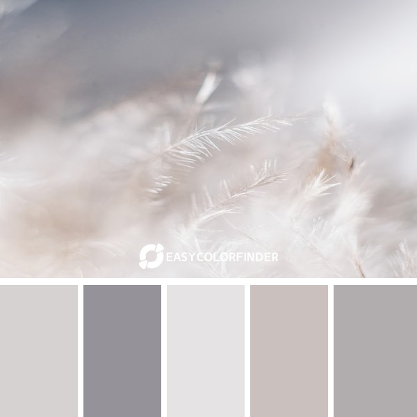 Color Palette 8