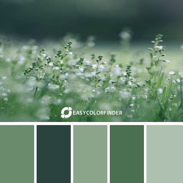 Color Palette 12