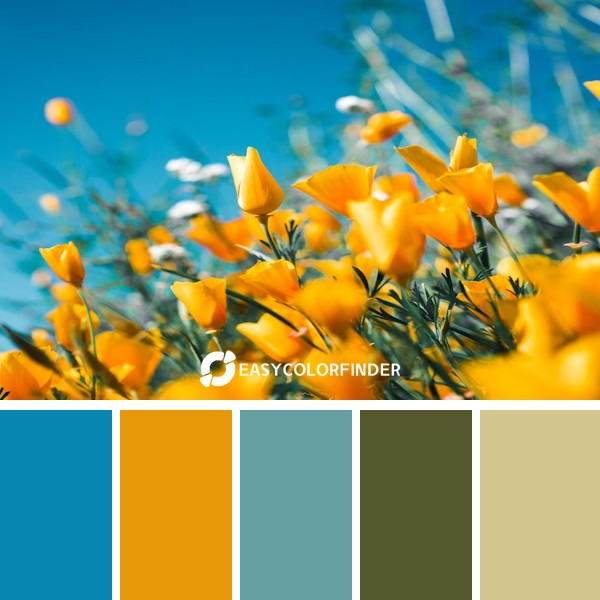 Color Palette 14