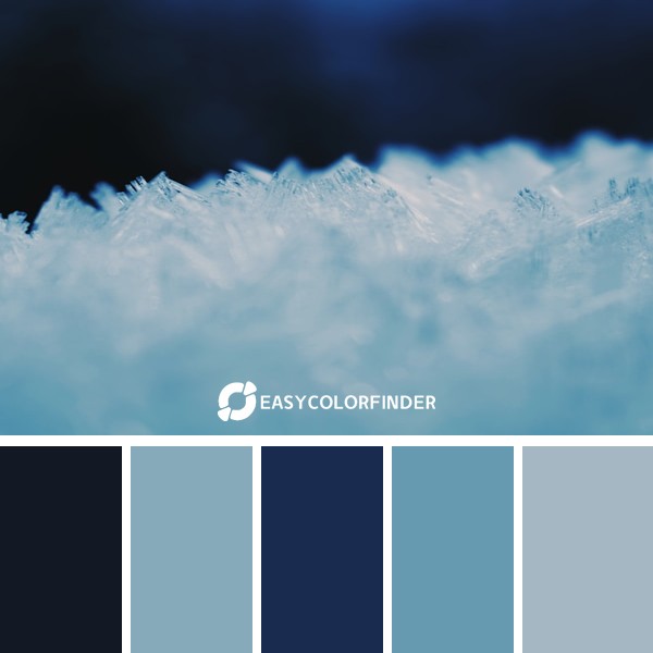 Color Palette 16