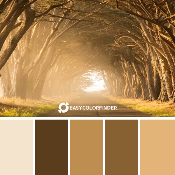 Color Palette 18