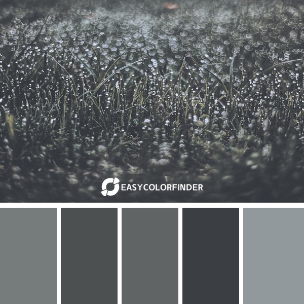 Color Palette 23