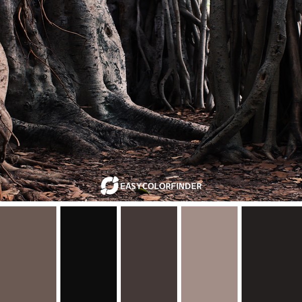 Color Palette 24