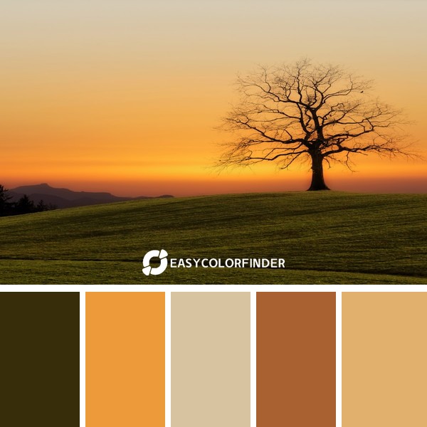 Color Palette 25