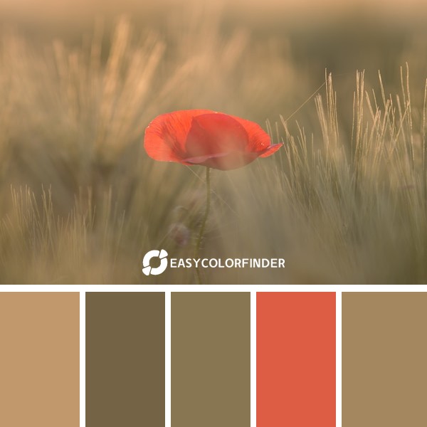 Color Palette 26