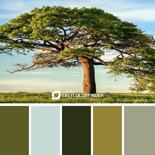 Color Palette 27