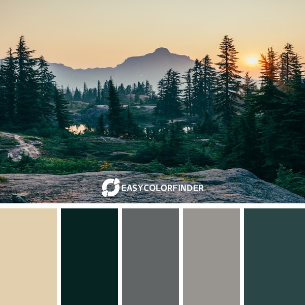 Color Palette 29