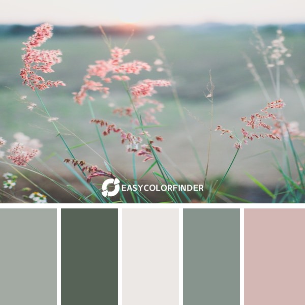 Color Palette 31