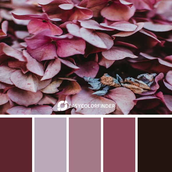 Color Palette 32