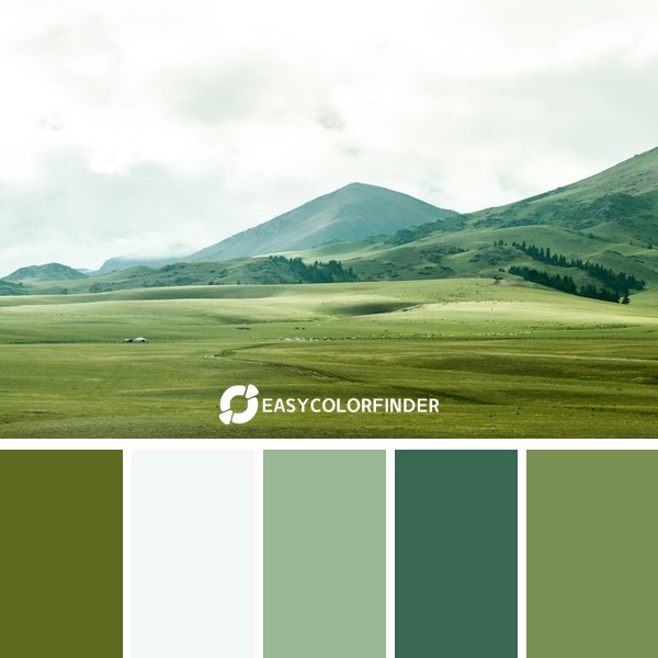 Color Palette 33