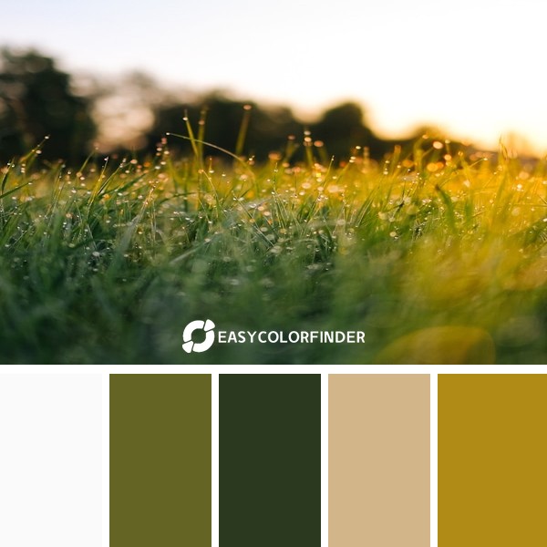 Color Palette 36