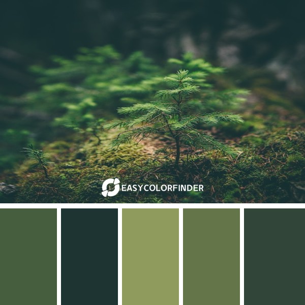 Color Palette 38