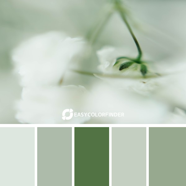 Color Palette 42