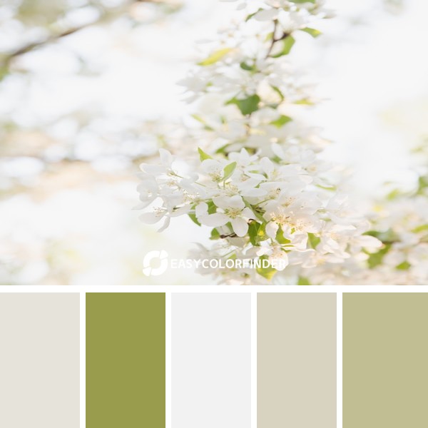 Color Palette 43