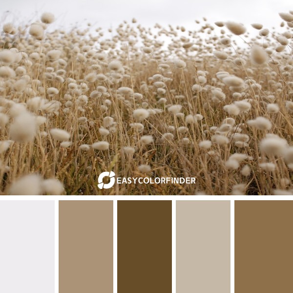 Color Palette 47