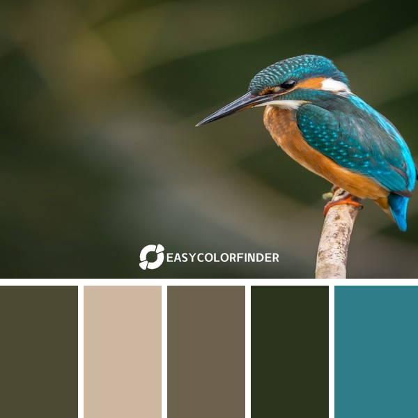 Color Palette 49