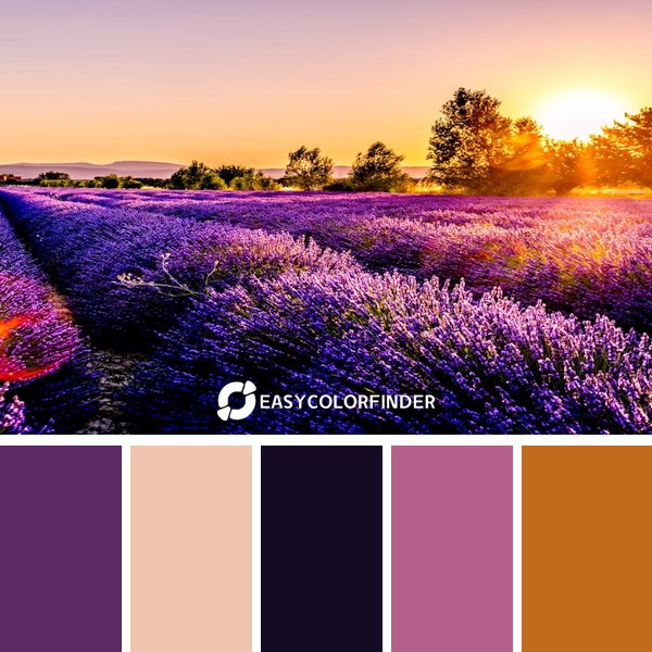 Color Palette 52