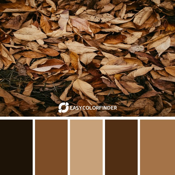 Color Palette 60 | Brown Wilted Leaves Palette: Natures Rich Colors