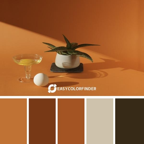A plant and eggs with a simple orange background
