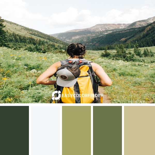 Color Palette 877 | Adventure in the mountains