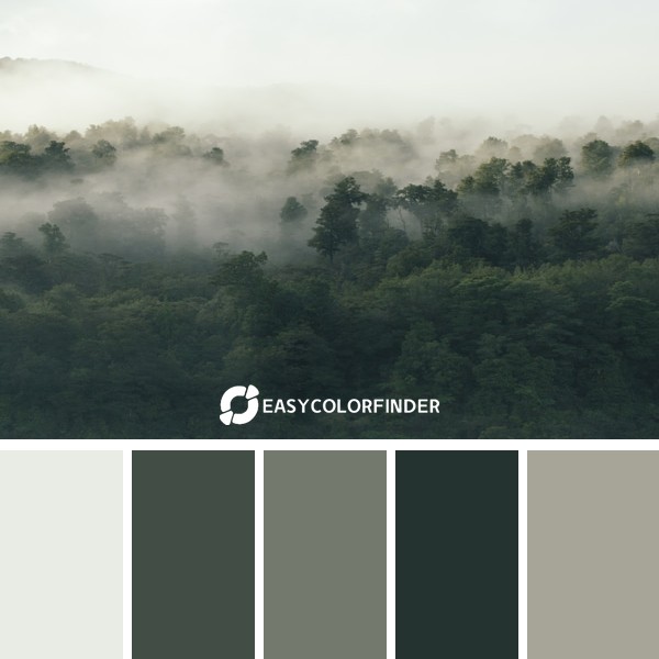 After we got up and out of our van that morning we took a little hike uphill and were presentwith this foggy view.