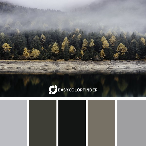 Autumn woods across the lake