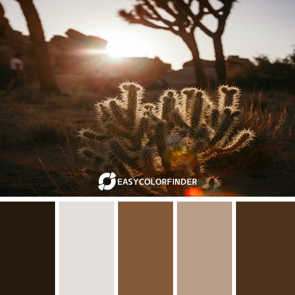 Color Palette 204 | Desert Baby Cactus