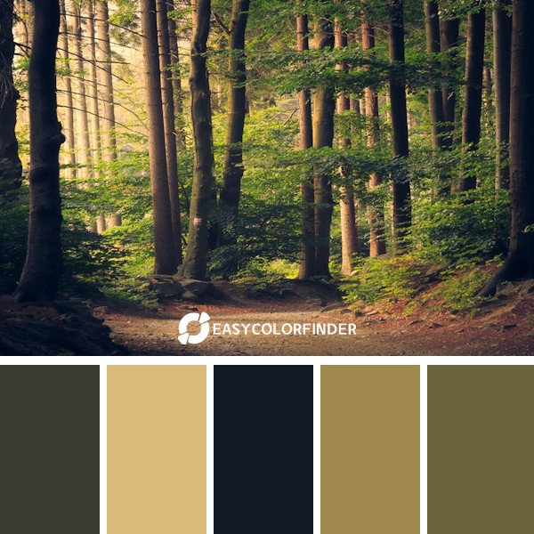 Color Palette 161 | Beautiful Woodland Path