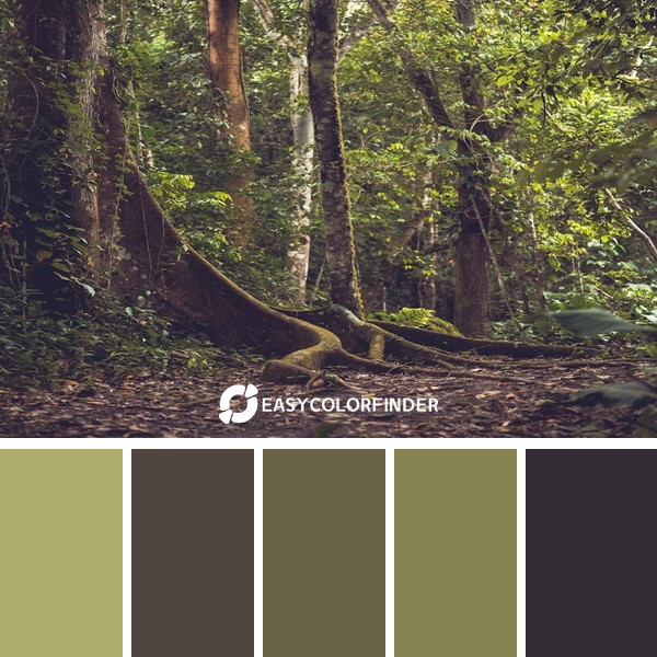 Color Palette 1803 | Big tree big roots
