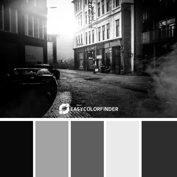 Black and white street