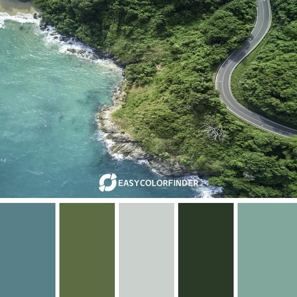Color Palette 638 | Blue ocean by forest road