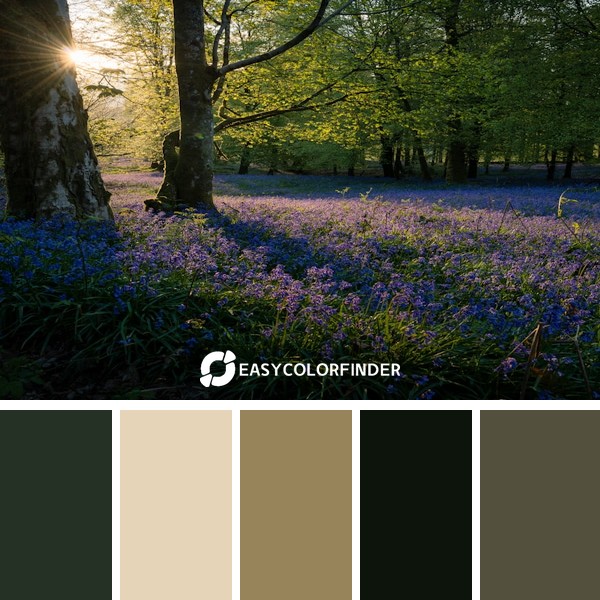 Color Palette 1174 | Bluebells are my official heralding of spring