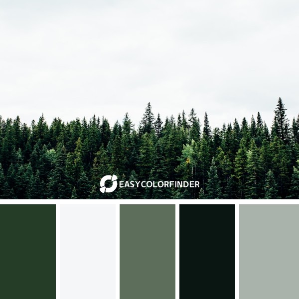 Canadian Treeline