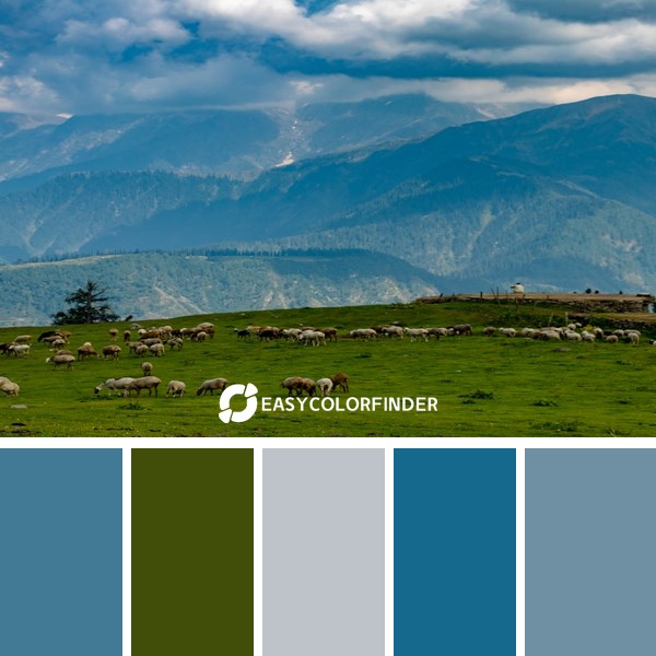 Color Palette 88 | Paye Meadows Cattle in KPK, Pakistan