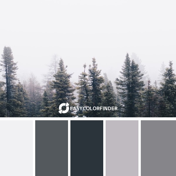 Color Palette 1151 | Cool Winter Fog