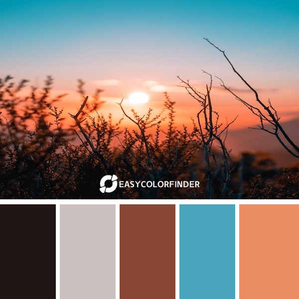 Color Palette 103 | Short day