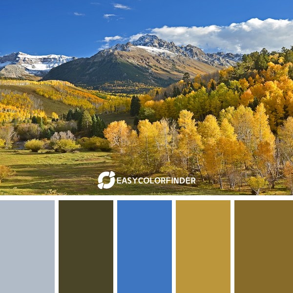 Color Palette 1289 | Fall Color Dallas Divide