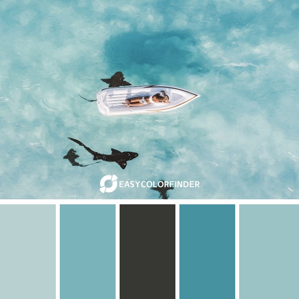 Floating over nurse sharks in the Bahamas on  Great Exuma. Cameras do not do the blue luminescence of the water here justice.