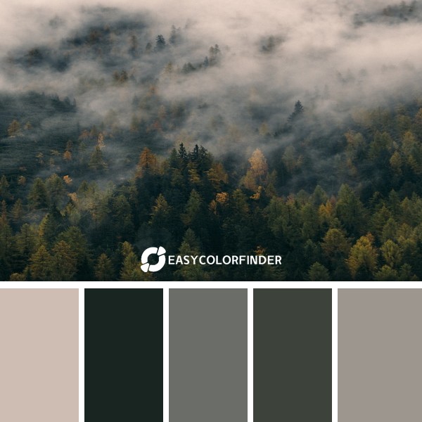 Color Palette 162 | Foggy Pine