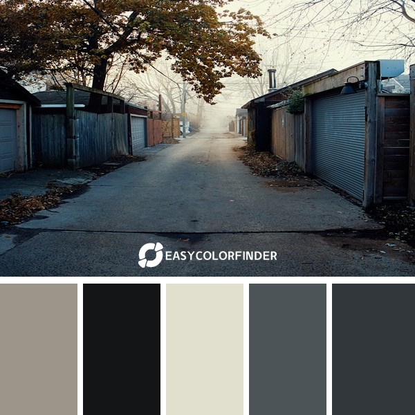 Color Palette 1197 | Foggy soaked alleyway in Leslieville Toronto, Canada