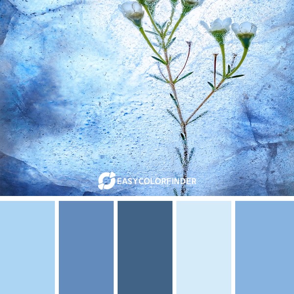 Color Palette 203 | Freezing