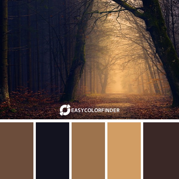 Golden forest pathway