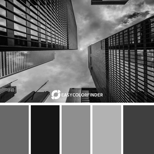 Color Palette 1158 | High-rises in black and white