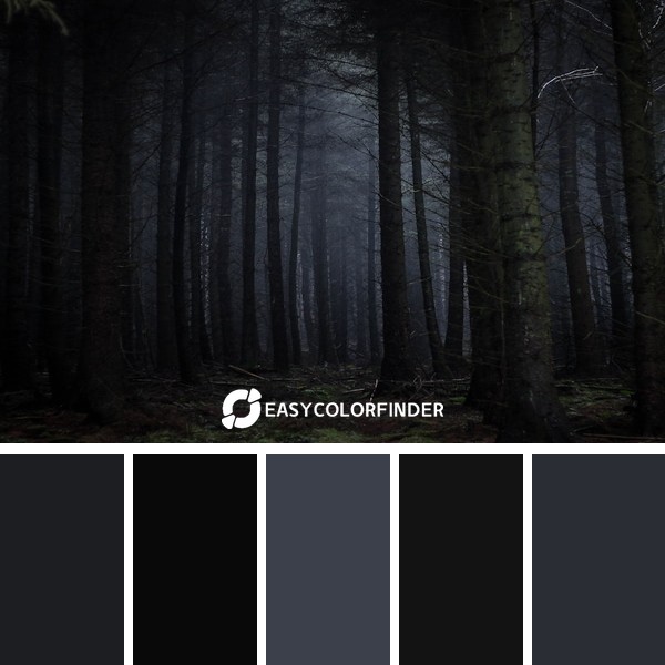 Color Palette 902 | I love forests and were long due a trip