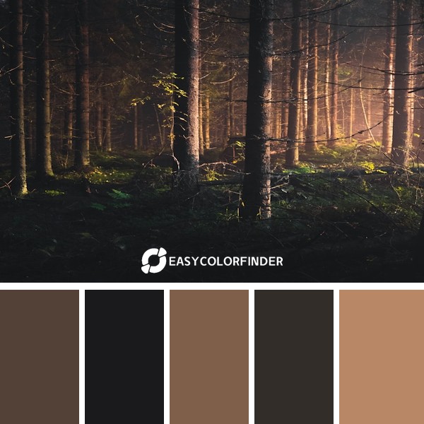 Color Palette 1195 | I took this image at midnight in a pitch black forest