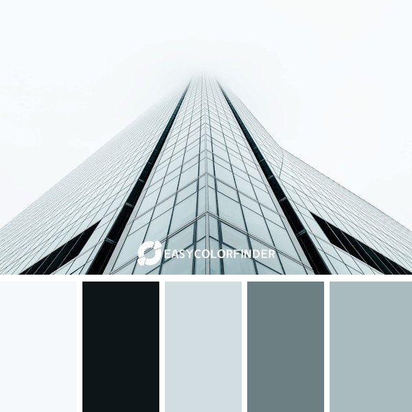 I was walking all day with my camera shooting random stuff… It was a foggy day in Madrid but it was amazing to try some sh...