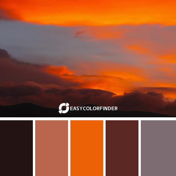 I was working at home just like everyday then I lookto the window and saw this beautiful sunset I had to take a break to t...